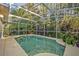 Inviting screened pool with plenty of surrounding lush greenery at 2460 Oak Mill Dr, Kissimmee, FL 34744