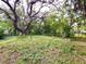 Large backyard with mature trees and lush grass at 30 E Ella J Gilmore St, Apopka, FL 32703