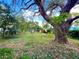 Large backyard with a mature oak tree at 30 E Ella J Gilmore St, Apopka, FL 32703