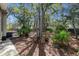 Spacious backyard with lush landscaping and mature trees at 701 Greentree Ct, Lake Mary, FL 32746