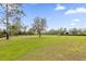 Large grassy backyard with mature trees and plenty of space for recreation at 19206 Robertson St, Orlando, FL 32833