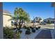 Landscaped front yard with palm trees at 2695 Plume Rd, Clermont, FL 34711