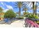 Rows of pink and blue bikes available for rent at 836 Desert Mountain Ct, Reunion, FL 34747
