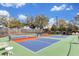 Two well-maintained pickleball courts are available at 836 Desert Mountain Ct, Reunion, FL 34747