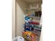 Storage closet with wire shelving and various household items at 3031 San Jacinto Cir # 3031, Sanford, FL 32771