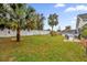 Large backyard with palm trees and above ground pool at 857 S Atmore Cir, Deltona, FL 32725