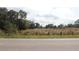 Open land with tall grass and distant trees at 3555 E Johnson Ave, Haines City, FL 33844