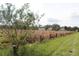 Vacant lot, partially fenced, with a view of nearby houses at 3555 E Johnson Ave, Haines City, FL 33844