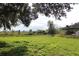 Overgrown side yard with grassy area and mature trees at 3555 E Johnson Ave, Haines City, FL 33844