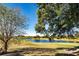 Serene pond view surrounded by lush greenery and mature trees at 7270 Westpointe Blvd # 914, Orlando, FL 32835