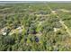 Aerial view of a residential area with mature trees and a home with a pool at 1257 Mullet Lake Park Rd, Geneva, FL 32732