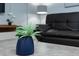 Stylish living room with a blue plant on a grey table at 2194 Cooper Bell Pl, Kissimmee, FL 34747