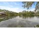 Stunning lake view with tranquil reflections and lush greenery at 5016 Dorman Rd, Lakeland, FL 33813