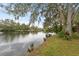 Serene lakefront property with mature trees and lush landscaping at 5016 Dorman Rd, Lakeland, FL 33813