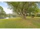 Peaceful waterfront view with a large tree and seating area at 5016 Dorman Rd, Lakeland, FL 33813