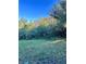 Spacious backyard with grassy area and tree line at 6430 S Goldenrod Rd # 15B, Orlando, FL 32822