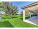 Spacious backyard with lush green lawn at 8441 Chilton Dr, Orlando, FL 32836