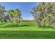 Large grassy backyard with mature trees and satellite dish at 8441 Chilton Dr, Orlando, FL 32836