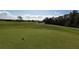 Community view showcasing lush landscaping and homes at 9859 Winnington St, Orlando, FL 32832