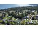 Aerial view of lakefront homes with surrounding greenery and a quiet atmosphere at 12617 Pine Island Dr, Leesburg, FL 34788