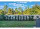 Fenced backyard with manicured hedges and trees at 1592 Wynford Cir, Tavares, FL 32778