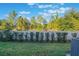Fenced backyard with manicured hedges and trees at 1592 Wynford Cir, Tavares, FL 32778
