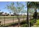 Landscaped backyard with a black metal fence and a view of neighboring homes at 2825 Attwater Loop, Winter Haven, FL 33884