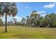 Green golf course with palm trees and fairways at 206 Albrighton, Longwood, FL 32779