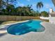 Inviting kidney-shaped pool with a large surrounding patio at 1417 Nottingham Dr, Winter Park, FL 32792