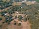 Aerial view of a large rectangular lot with surrounding trees and houses at 17144 Phil C Peters Rd, Winter Garden, FL 34787