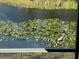 Serene lake view with abundant lily pads at 4518 Watch Hill Rd, Orlando, FL 32808