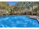 Refreshing community pool with lounge chairs and palm trees at 1054 Waterside Dr, Celebration, FL 34747