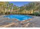 Inviting community pool surrounded by palm trees and lush landscaping at 1054 Waterside Dr, Celebration, FL 34747