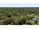 Aerial view of neighborhood with houses and lush trees at 8 Pine Ct, Yalaha, FL 34797