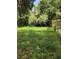 Large grassy backyard area at 1257 N Pine Hills Rd, Orlando, FL 32808