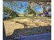 Spacious backyard with grassy area and mature trees at 1503 33Rd Nw St, Winter Haven, FL 33881