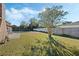 Backyard view, grassy area, and a tree providing shade at 2133 E Parkton Dr, Deltona, FL 32725