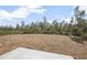 Spacious backyard with a grassy area at 765 6Th Ave, Osteen, FL 32764