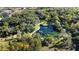 Aerial view of park with pond and lush greenery at 300 Spring Run Cir, Longwood, FL 32779