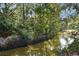 Peaceful creek running through lush natural landscape at 300 Spring Run Cir, Longwood, FL 32779