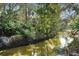 Peaceful creek running through lush natural landscape at 300 Spring Run Cir, Longwood, FL 32779