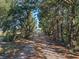 Long driveway leading to house, lined with trees at 502 W Lester Rd, Apopka, FL 32712