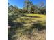 Vacant lot with tall grass and trees at 14521 E Highway 316, Fort Mc Coy, FL 32134