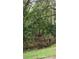 Deer in wooded area near property at 41238 Balsam St, Eustis, FL 32736