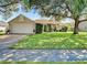 House exterior featuring a well-manicured lawn and attached garage at 4217 Sky Flower Ln, St Cloud, FL 34772