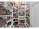 Well-organized pantry with ample shelving for storage at 30230 Tokara Ter, Mount Dora, FL 32757