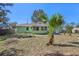 Backyard view of a house with palm trees at 21 Portland St, Eustis, FL 32726