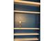 Simple blue shelves with white trim offer storage solutions at 3420 Lake Harney Cir, Geneva, FL 32732