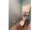 Small bathroom with toilet and wall-mounted cabinet at 556 Lake Wildmere Cv, Longwood, FL 32750