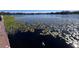 Serene lake view with lush greenery at 556 Lake Wildmere Cv, Longwood, FL 32750